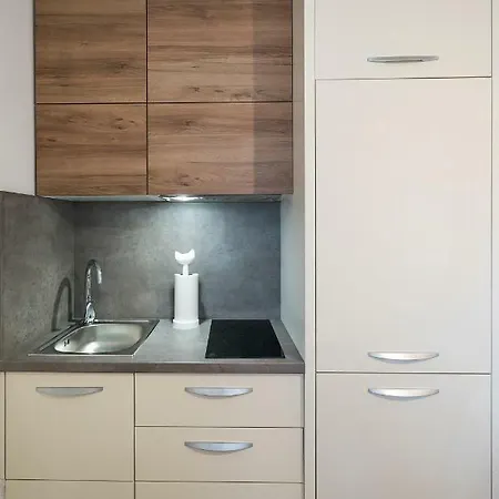 Apartment Petar In Old Part Of Town